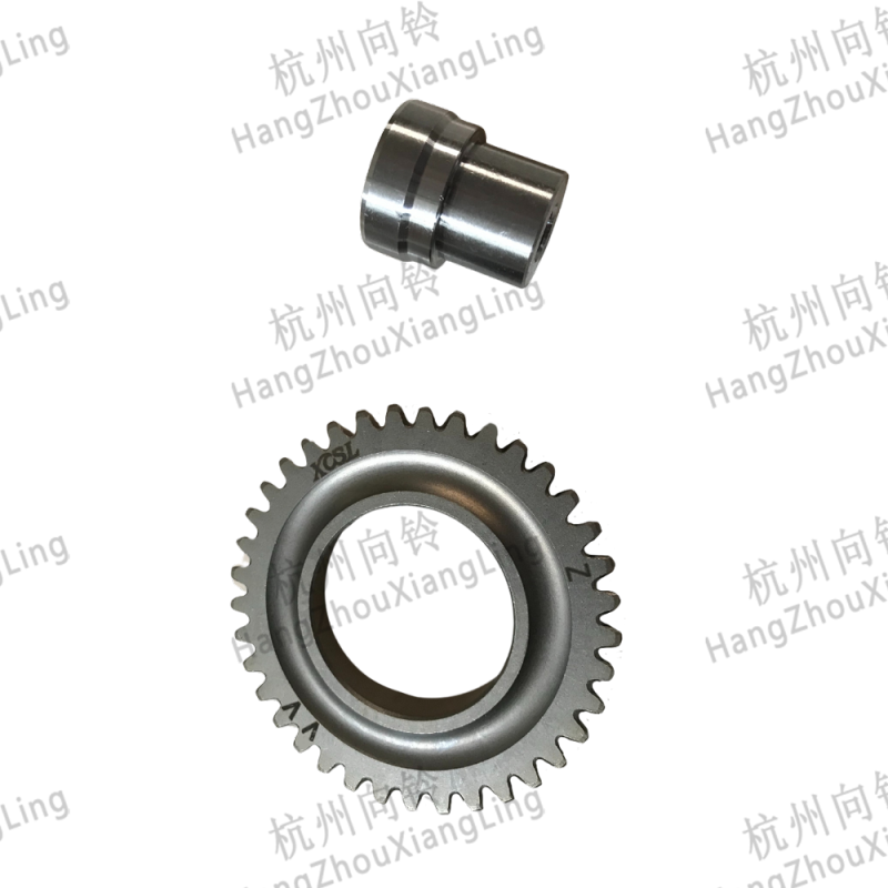 Timing Gear B+I dler Gear B